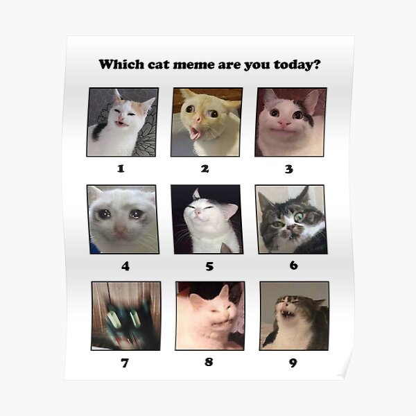 Which Cat Meme Are You Today Poster By Coffeewithmilk Redbubble