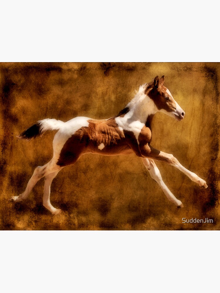 "Yippee Ki Yo Ki Yay" Poster by SuddenJim Redbubble