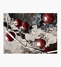 winter tomatoes Photographic Print