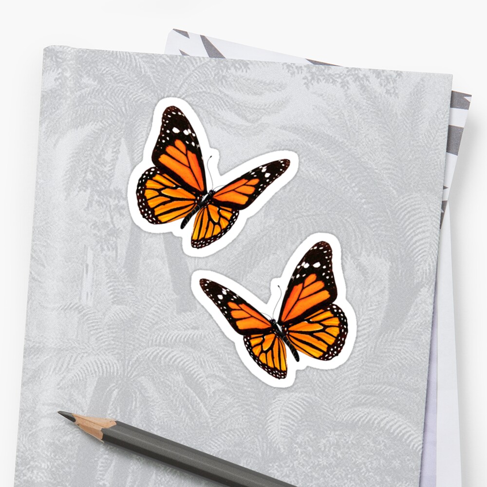 "Butterfly " Sticker by haleybaysic Redbubble