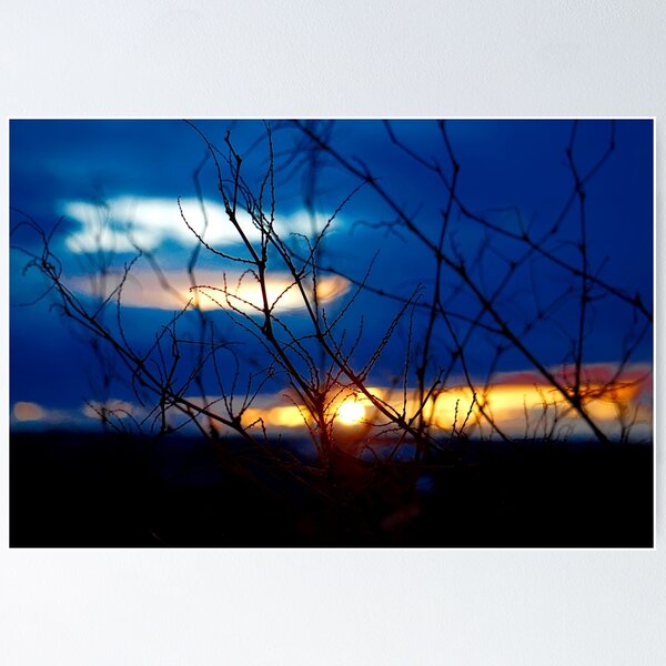 Item preview, sunset in the branches  designed and sold by Natalie Stark.