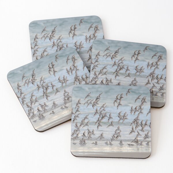Item preview, Synergy - Flock of Sanderlings designed and sold by twinroses.