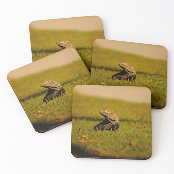 Item preview, lli iguana designed and sold by pcfyi.