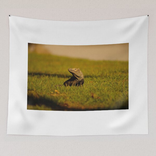 Item preview, lli iguana designed and sold by pcfyi.