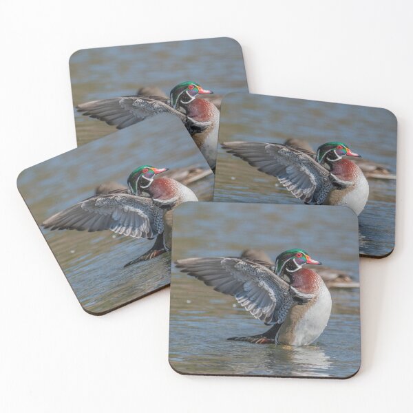 Item preview, Impressing His Lady - Male and Female Wood Ducks designed and sold by twinroses.