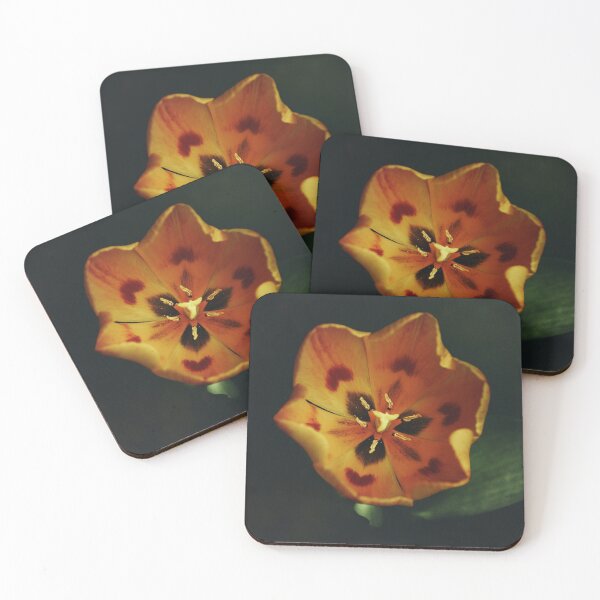 Item preview, Tulip designed and sold by 275photography.