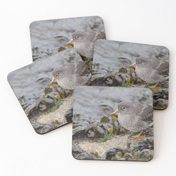 Item preview, Purple Sandpiper designed and sold by LaurenTucker.