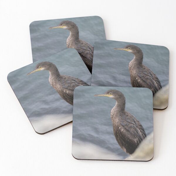 Item preview, Shag designed and sold by LaurenTucker.