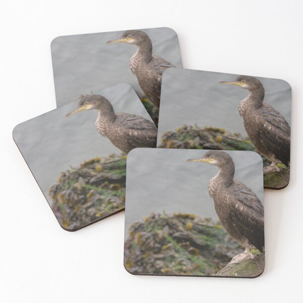 Item preview, Shag designed and sold by LaurenTucker.
