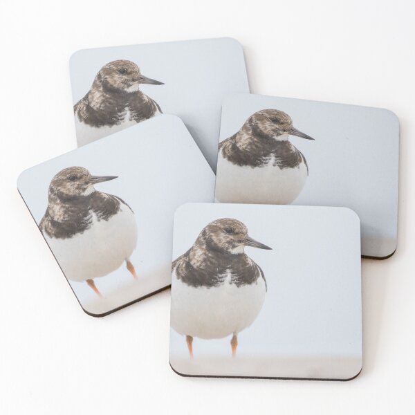 Item preview, Turnstone designed and sold by LaurenTucker.