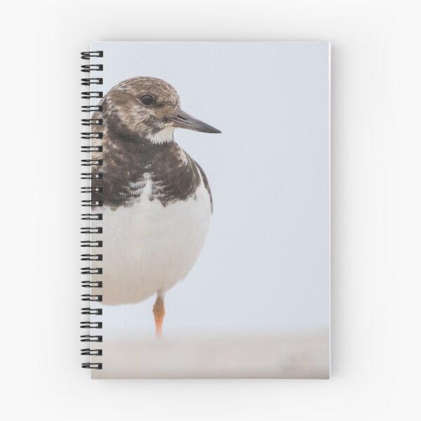 Item preview, Turnstone designed and sold by LaurenTucker.
