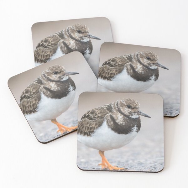 Item preview, Turnstone designed and sold by LaurenTucker.