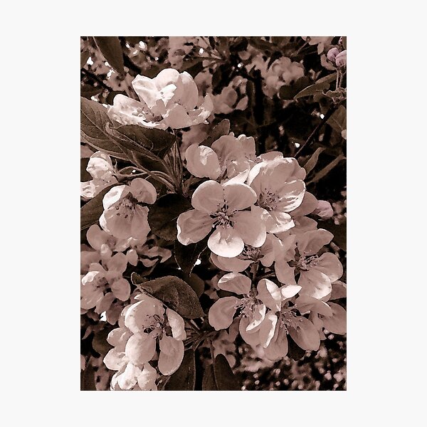 Item preview, Blossoming designed and sold by Jessie Williams.