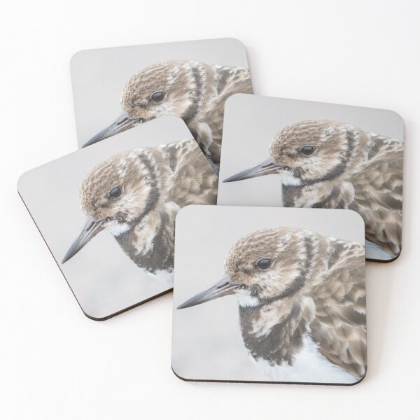 Item preview, Turnstone designed and sold by LaurenTucker.