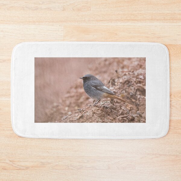Item preview, Black Redstart designed and sold by LaurenTucker.