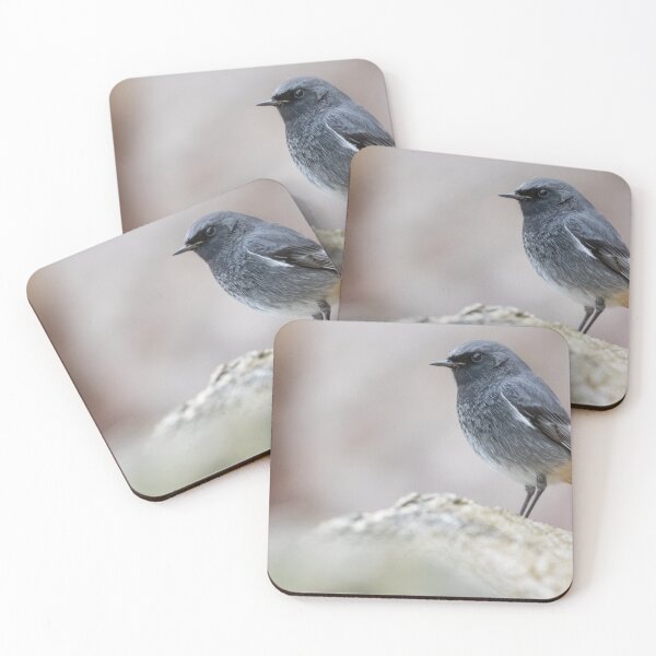 Item preview, Black Redstart designed and sold by LaurenTucker.