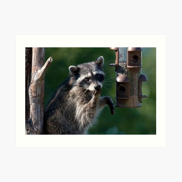 Ooops, Pardon Me! Art Print