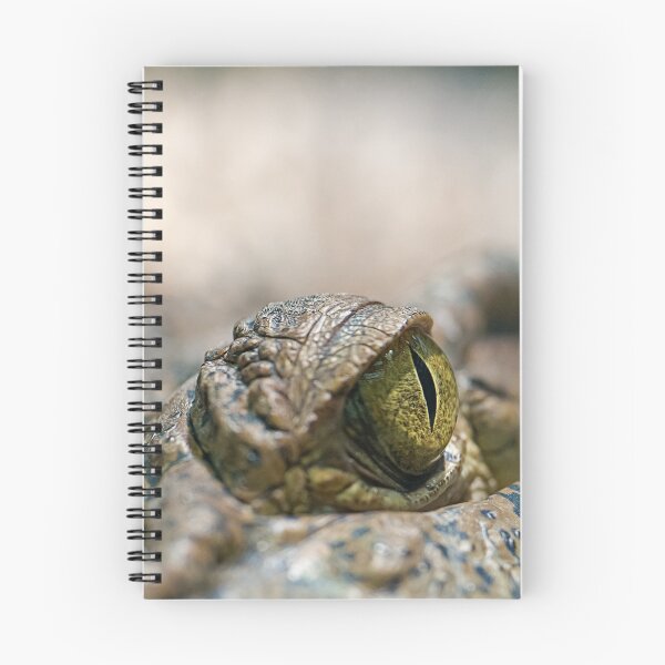 Item preview, Crocodile's Eye designed and sold by Henry Jager.