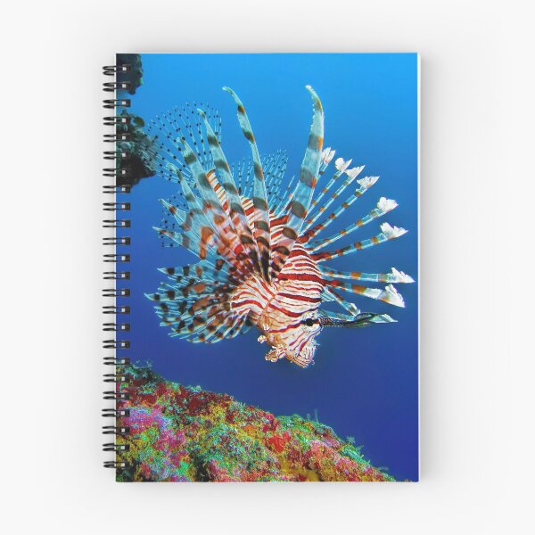 Artikelvorschau, Lionfish am Apo-Riff entworfen und verkauft von Henry Jager.