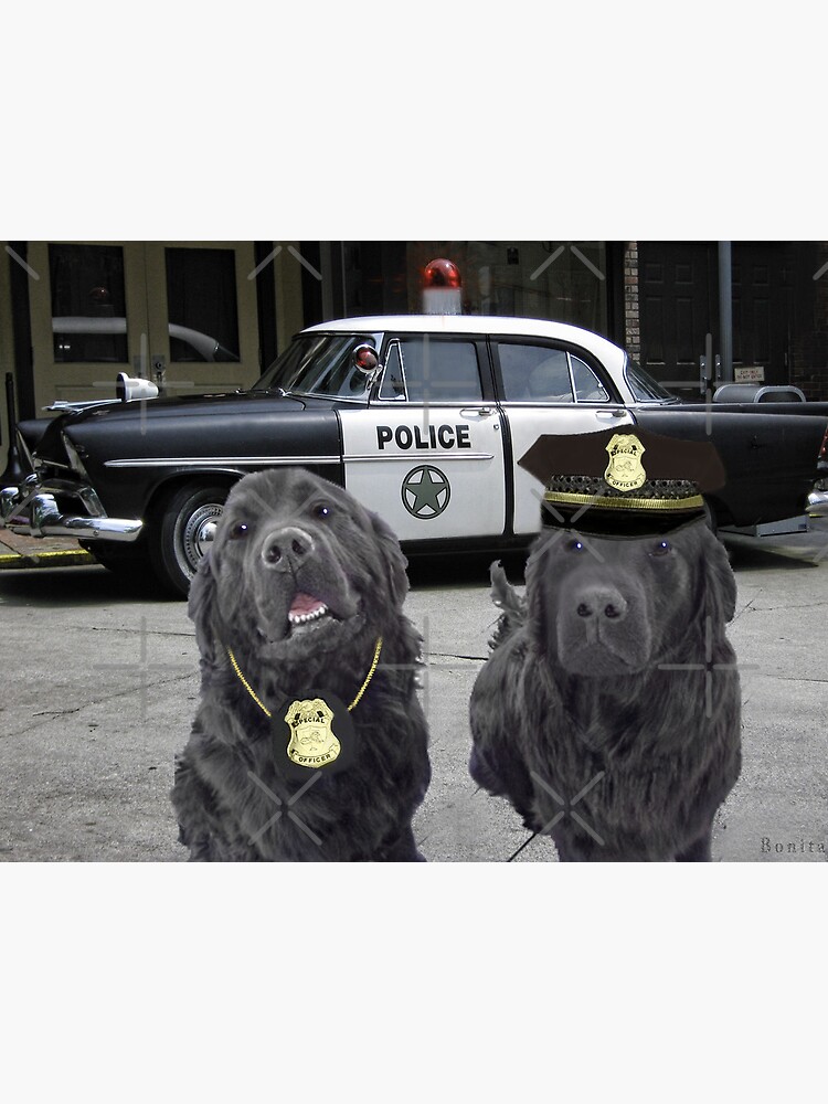 ☞ º°”˜`”°☜♥☞CANINE POLICE DOGS- BAD BOYS THEME TAKEN FROM THEME SONG ☞  º°”˜`”°☜♥☞ Poster