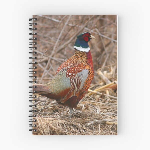Item preview, Ring Neck Pheasant designed and sold by Enola Gay Wagner.