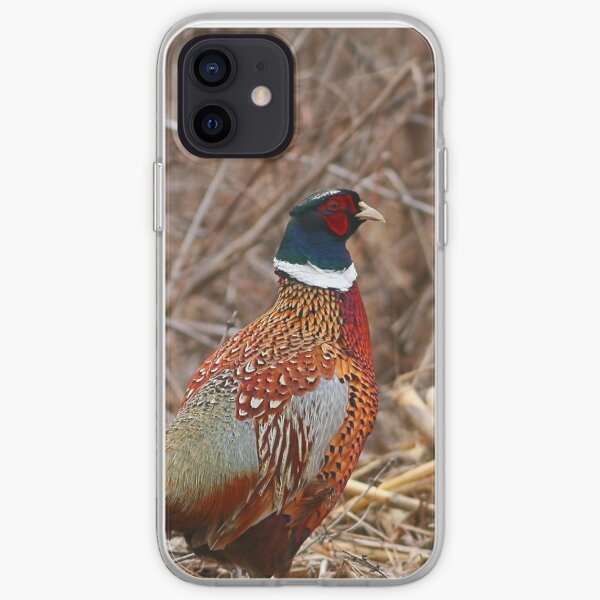 Ring Neck Pheasant iPhone Soft Case