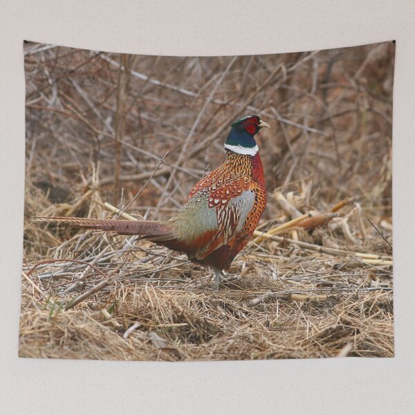 Item preview, Ring Neck Pheasant designed and sold by Enola Gay Wagner.