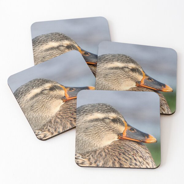 Item preview, Sleepy mallard designed and sold by GreyFeatherPhot.