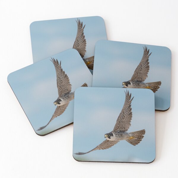 Item preview, Taking Flight - Peregrine Falcon designed and sold by twinroses.