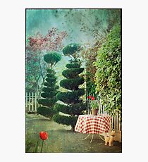 Topiary Trees Photographic Print