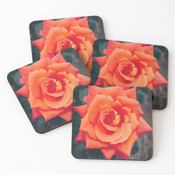 Item preview, Flaming Rose designed and sold by emilyallsopp.