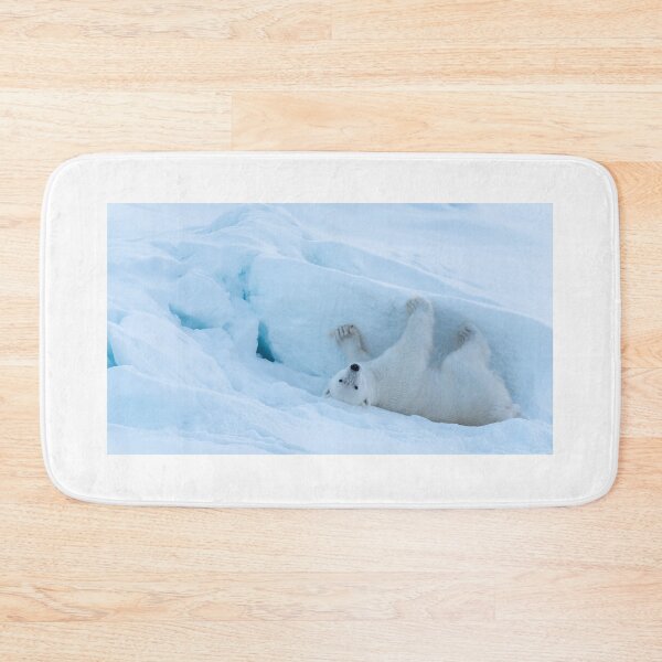 Artikelvorschau, Eisbär Spielzeit 2 entworfen und verkauft von James Stone Photography.