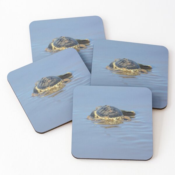 Item preview, An Australian flatback turtle hatchling designed and sold by Meg Forbes.