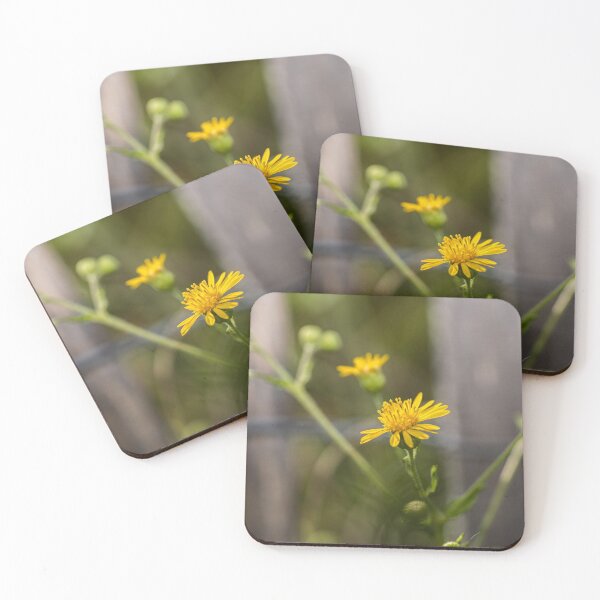Item preview, Taraxacum designed and sold by KensLensDesigns.