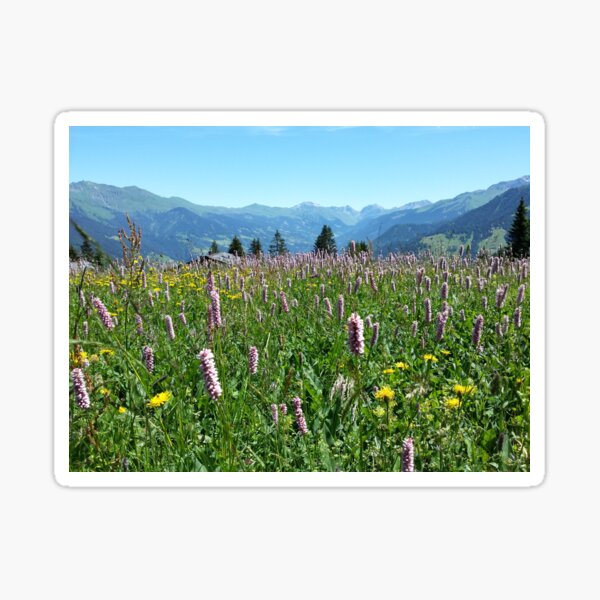 Glance into the Schanfigg Sticker