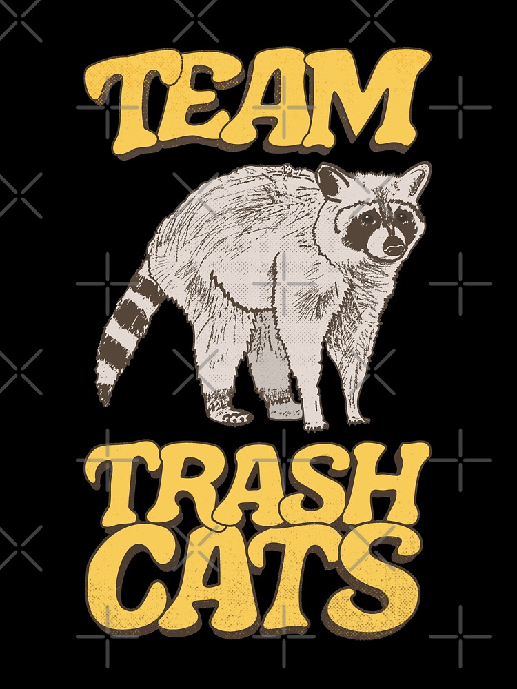 Raccoon Squad Trash Talkers Vintage Retro, Funny Racoon Sweatshirt