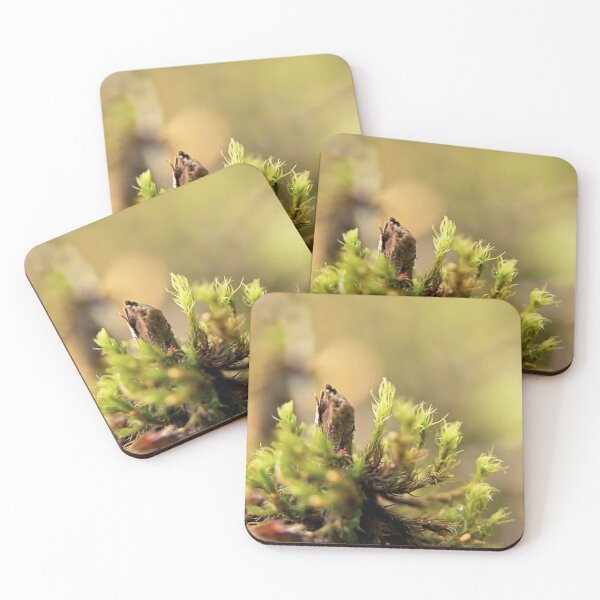Item preview, Resurrect the Mossery designed and sold by Daogreer Earth Works.