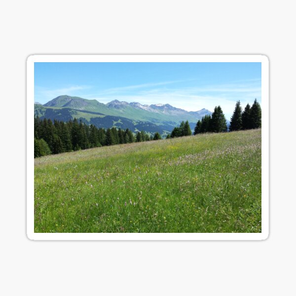 summer meadow Sticker