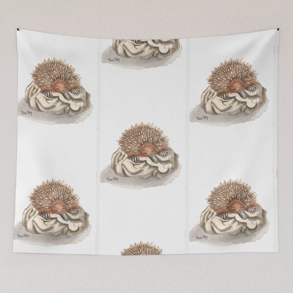Item preview, Sleeping Echidna designed and sold by PeeJayArt.