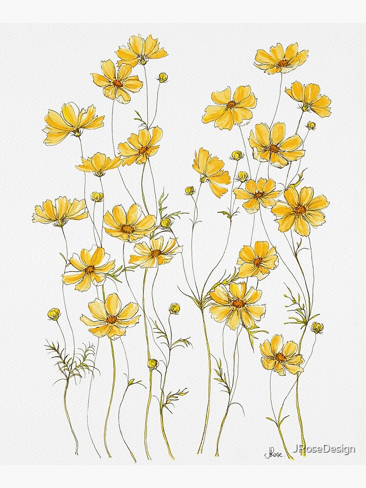 Yellow Cosmos Flowers by JRoseDesign