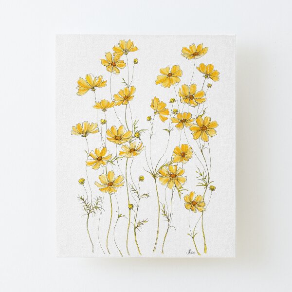 Yellow Cosmos Flowers Canvas Mounted Print