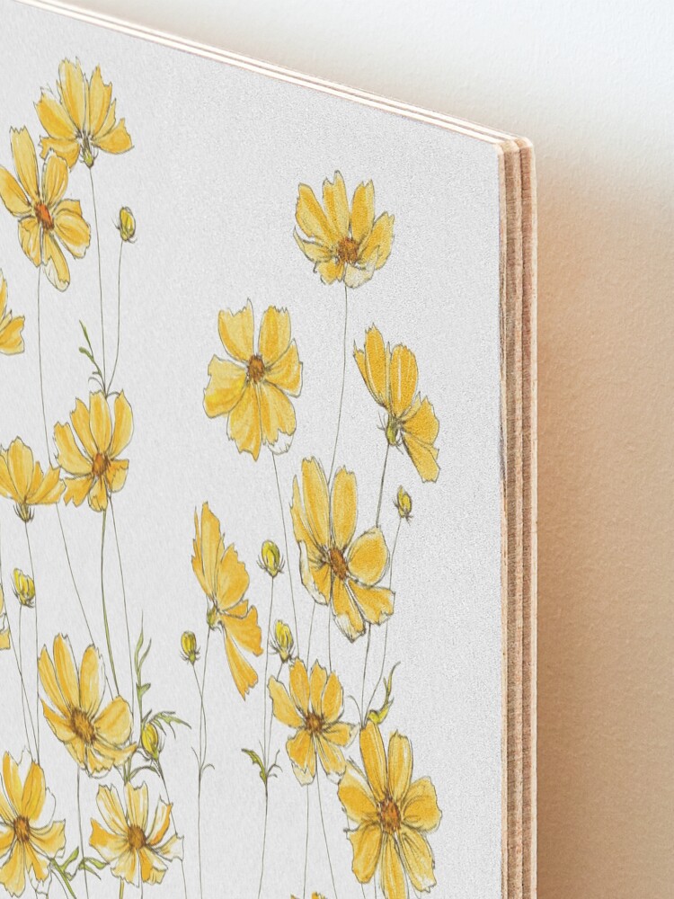 Alternate view of Yellow Cosmos Flowers Mounted Print