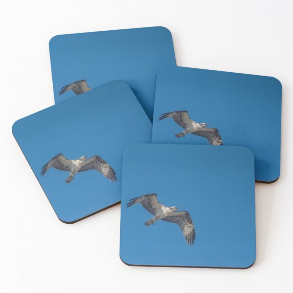 Item preview, Osprey designed and sold by KensLensDesigns.