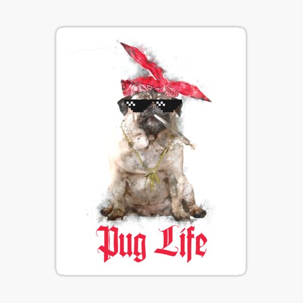 Pug Life Sticker