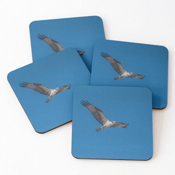Item preview, Osprey designed and sold by KensLensDesigns.