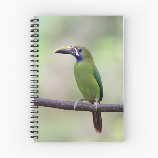 Item preview, Toucanet designed and sold by mlorenz.