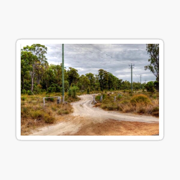 Crossroads In The Forest Sticker