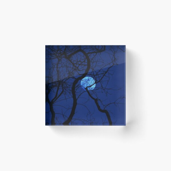 Item preview, Bare Tree Branches and Full Moon designed and sold by Anna Lemos.
