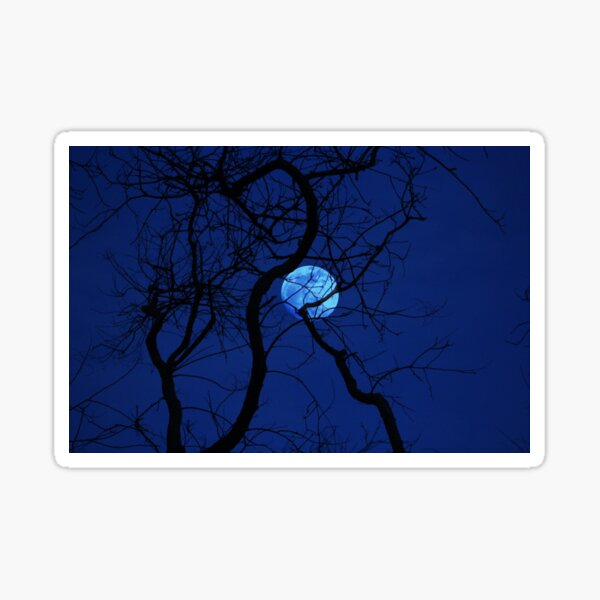 Item preview, Bare Tree Branches and Full Moon designed and sold by Anna Lemos.