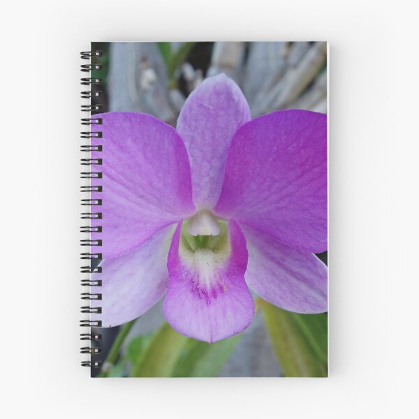 Item preview, Maui Resort Study 11  designed and sold by Robert Meyers-Lussier.